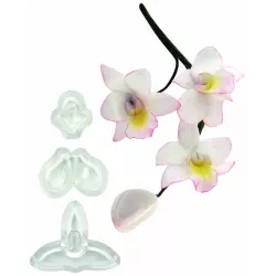 3 darabos nyomóforma készlet – kicsi orchidea Szingapúr - PME