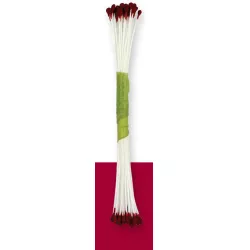 Pestíky vínové 50 ks - PME