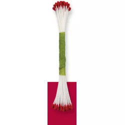 Piros tökmag Példány 50 db - PME