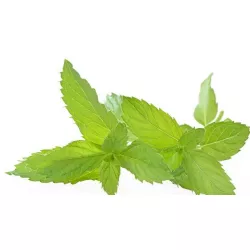 Ízesítő paszta Menta (200 g)