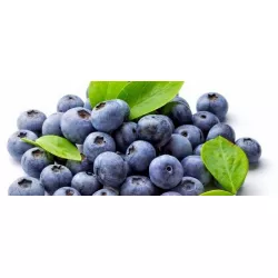 Ízesítő paszta Áfonya (200 g)