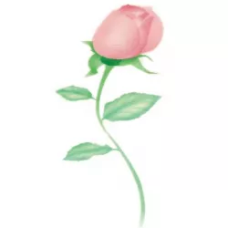 Sztolek rajz a szívófúvórosezáshoz?