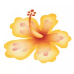 Sajtreszelés az airbrush írisz számára