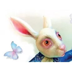 Silikonos nyúlforma
