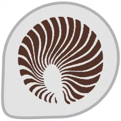 Sablon tortára fény