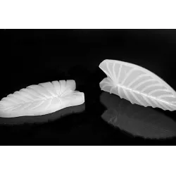 Zöldítőlevél Foglia 160x80 mm
