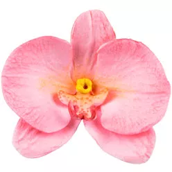 Orchidea forma 92x60mm