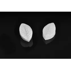 Levél erezete 5x3 cm