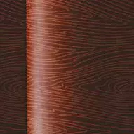 Átvihető fólia 40x25 cm Veinage