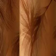 Fóliaváltó 40x25 cm Plument