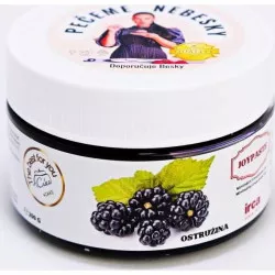 Ízesítő paszta Joypaste Szeder (200 g) 4090