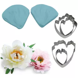 Vénás és szaggatott pünkösdi rózsa, 6×7,5 cm