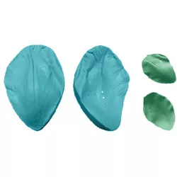 Csillérmetszet virágszirma 5x3 cm