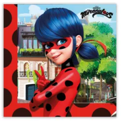 Törlőkendők 33x33 cm Lady Bag