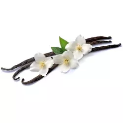 Gourmet első osztályú vanília - vanilla makk 1 db