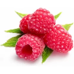 gyümölcs töltelék málna zselé 1 kg