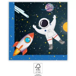 Törlőkendők 33x33 cm Űr