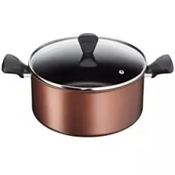 Tefal edény fazék fedővel Resources 24 × 12 cm
