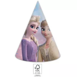 Papírvédők sapkák 6 darab Frozen