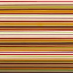 Átlátszó fólia 40x25 cm RAYURES