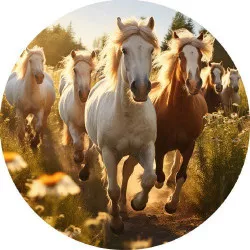 19,5 cm ehető lópapír