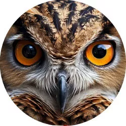 Ehető papír bagoly 19,5 cm