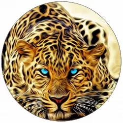 Ételpapír, amely a jaguár felett hever 19,5 cm