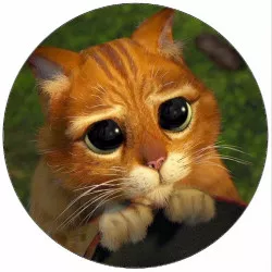 Élelmezési papír Shrek macska 19,5 cm