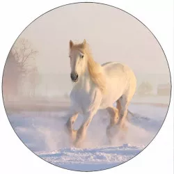 Ehető papír fehér ló a hóban 19,5 cm