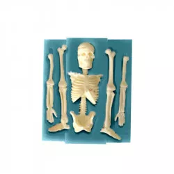 Selyemforma 11x9,5 cm - csontváz