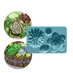 Szilikon pozsgás növény forma, 12 x 8 cm