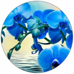 Élelmiszerpapír kék orchidea 19,5 cm