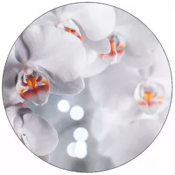 Étterem papír fehér orchidea 19,5 cm