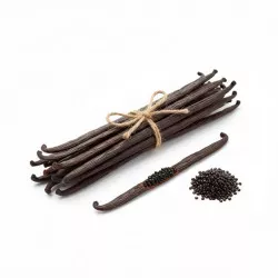Bourbon vaníliabab – Gourmet 10 db / Grade A (16 cm+)