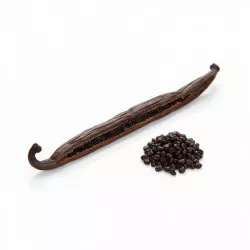 Vanilkový lusk Bourbon – Gourmet 1ks / Grade A (18 cm +) - I LOVE CAKES