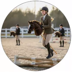 Ételpapír Hobbyhorse átugrik a 19,5 cm magas akadályon