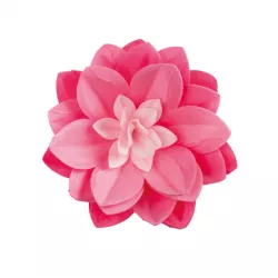 Ehető virág – rózsaszín tündérrózsa, 14 cm