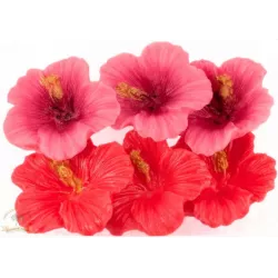 Rózsaszín és piros hibiszkusz, 42 g